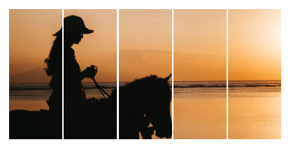 Split canvas prints - Package 4